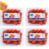 스테비아 대추방울토마토 2kg(500g x4팩) 10,110원