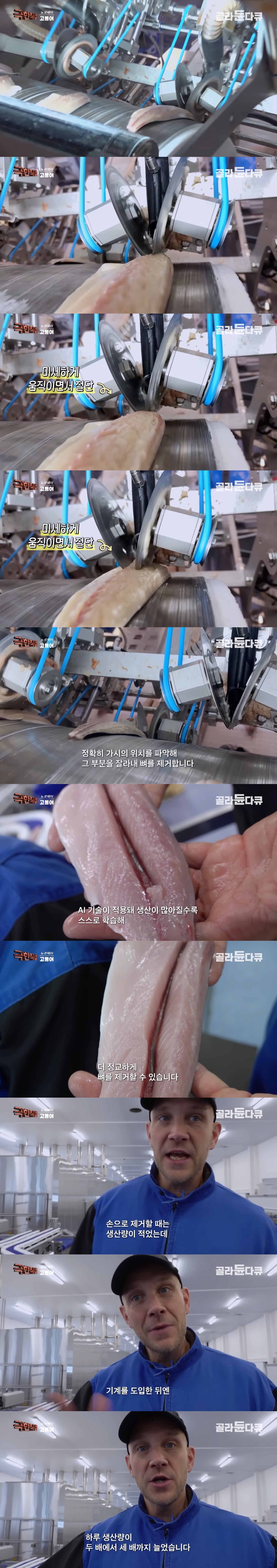 사람 다 잘리고 자동화된 고등어 공장 근황
