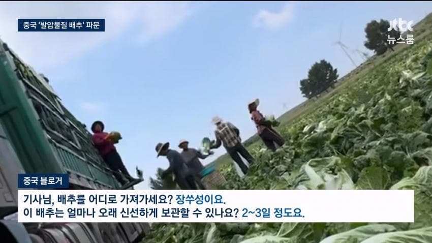 중국 배추 시신 보존제 발암물질 범벅…한국'중국산 김치'수입량 역대 최대 (10)