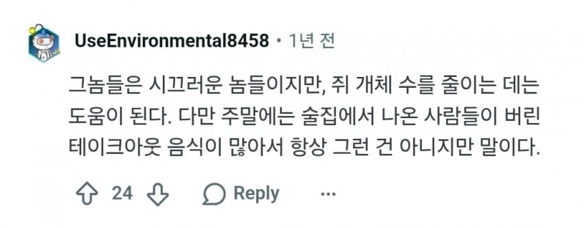 영국에서 단또를 몰아내고 거리를 지배하는 동물들.. (19)