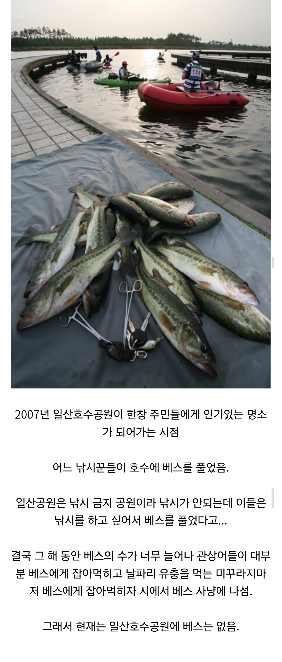 일산호수공원 유해조수 방생썰