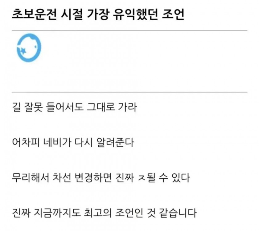 초보운전에게 가장 유익하다는 조언