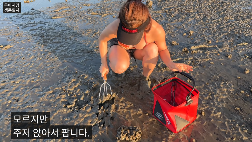 갯벌에서 식자재 해결하는 여자 (13)