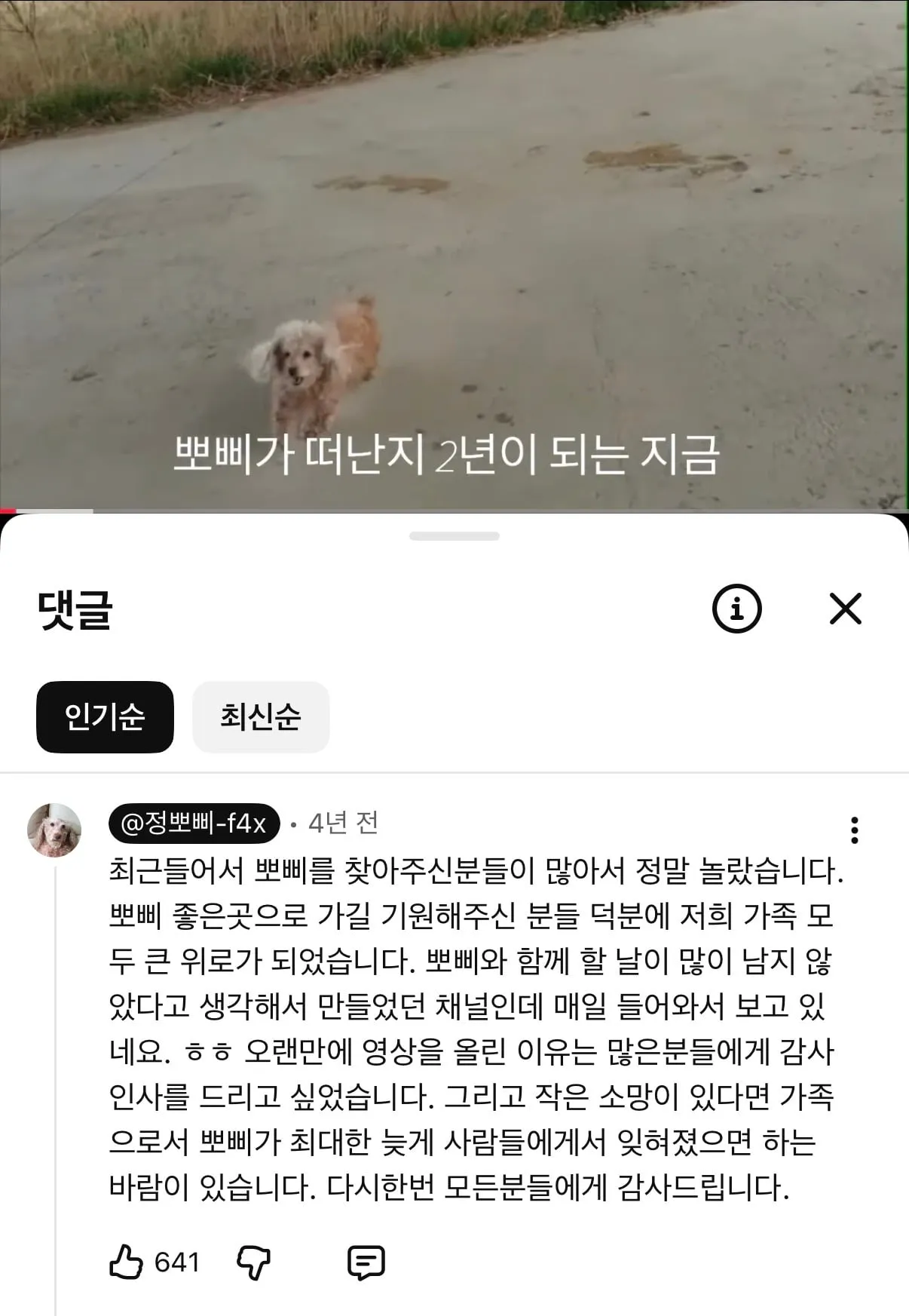 눈에넣어도안아픈우리집뽀삐…jpg