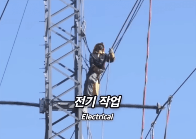 머스크가 본 미래 폭등할 직업 (20)