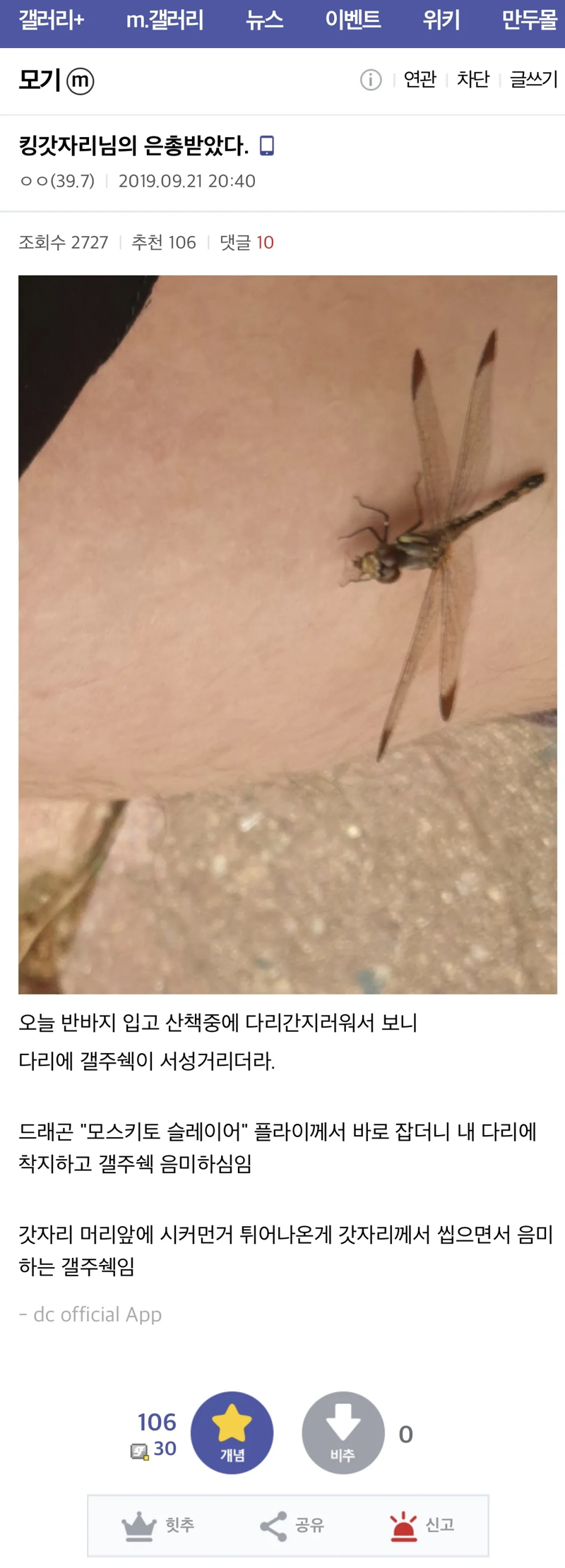 모기갤 회원이 감동받은 이유