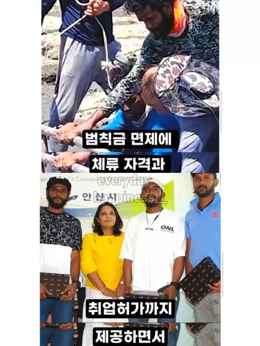 추락한 전투기 조종사를 구출