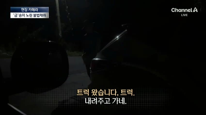 채널a) 송이버섯 1kg에 160만원...밤낮 추격전 (19)