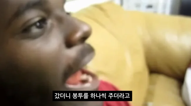 흑인 아이들 소풍을 목화밭으로 보낸 학교 (7)