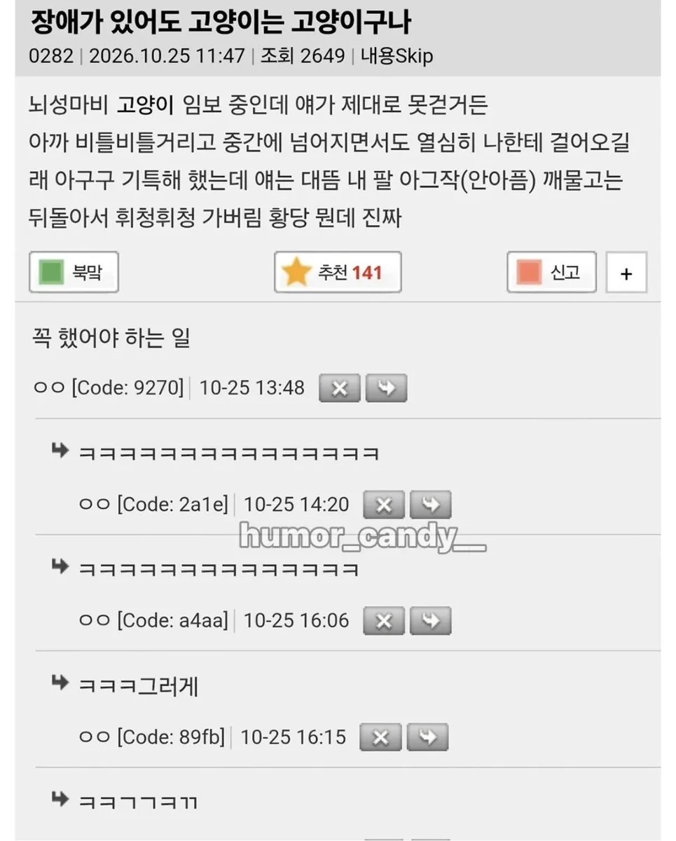 장애가 있어도 고양이는 고양이구나