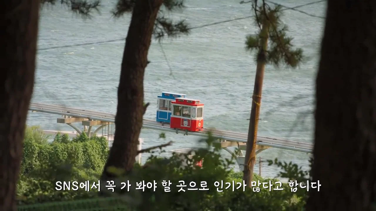 지금 부산에 여행온다고 외국인들이 몰리는 이유 (58)