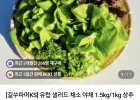 유럽 샐러드 믹스 1kg/1.5kg