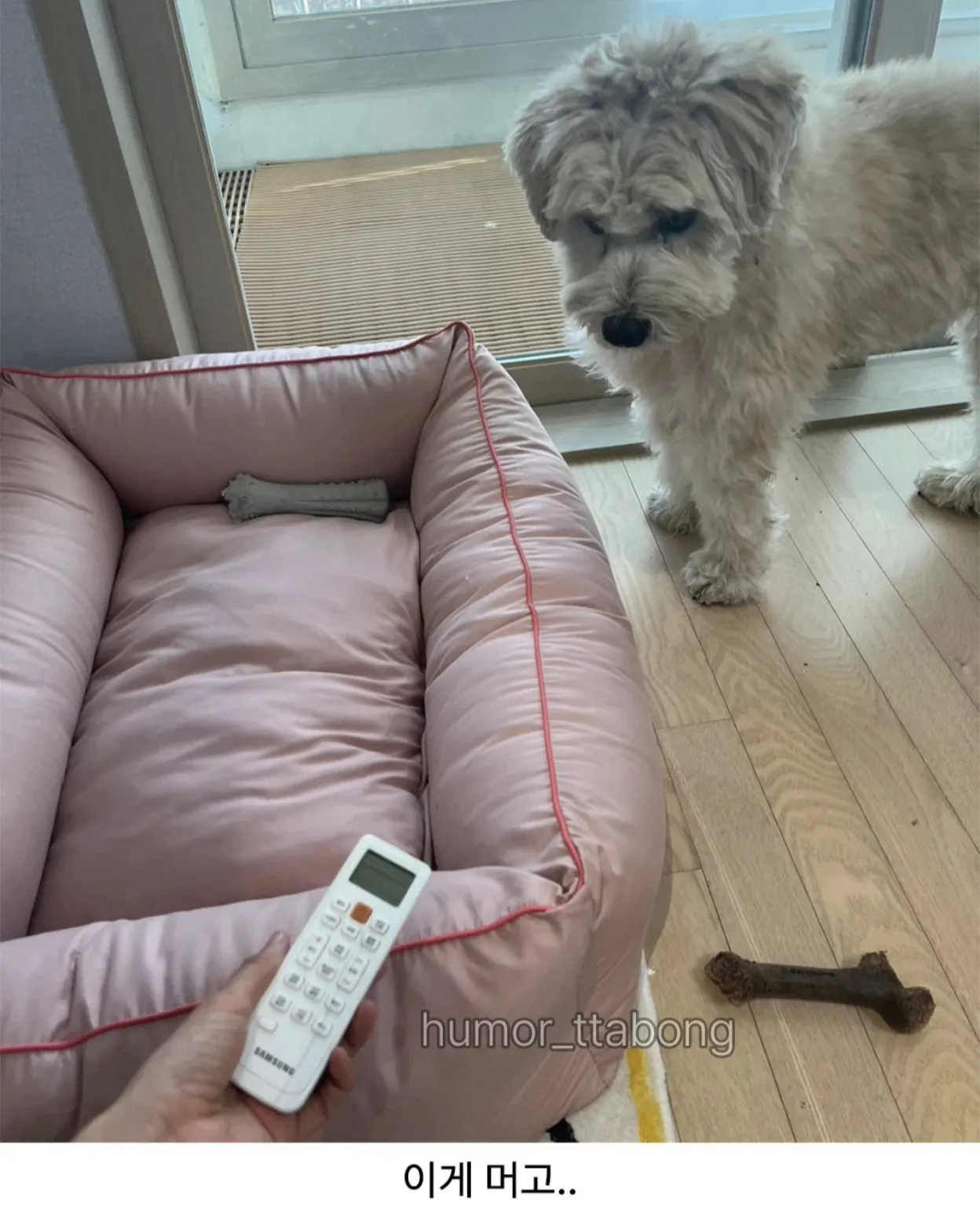 강아지방석 당근했는데 (2)