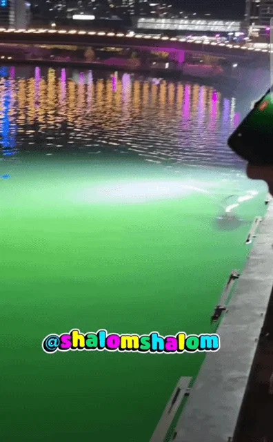부산 상어 부캉이의 인기가 높아지면서 나타나는...... (9)