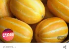 성주 꿀참외 2kg
