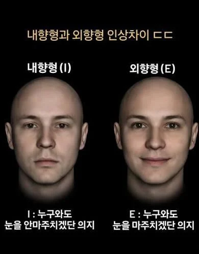 내향인과 외향인의 눈빛 차이 ㄷㄷ
