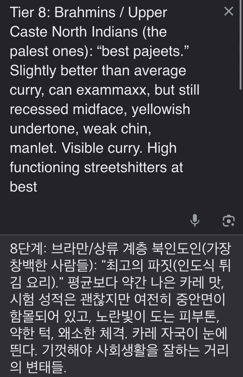 서양 커뮤에서 만든 인종 순위 20단계 (29)