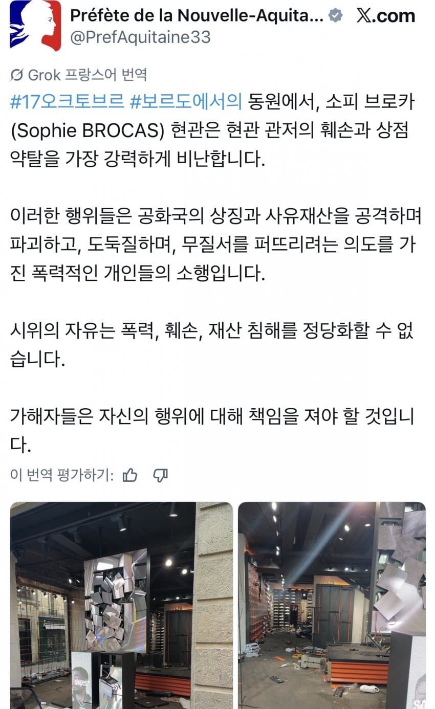 프랑스 시위 심각한듯 (8)