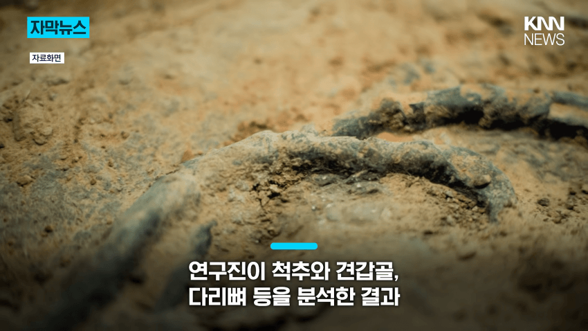 공사장에서 1억 년 전 초대형 공룡 발견 (5)