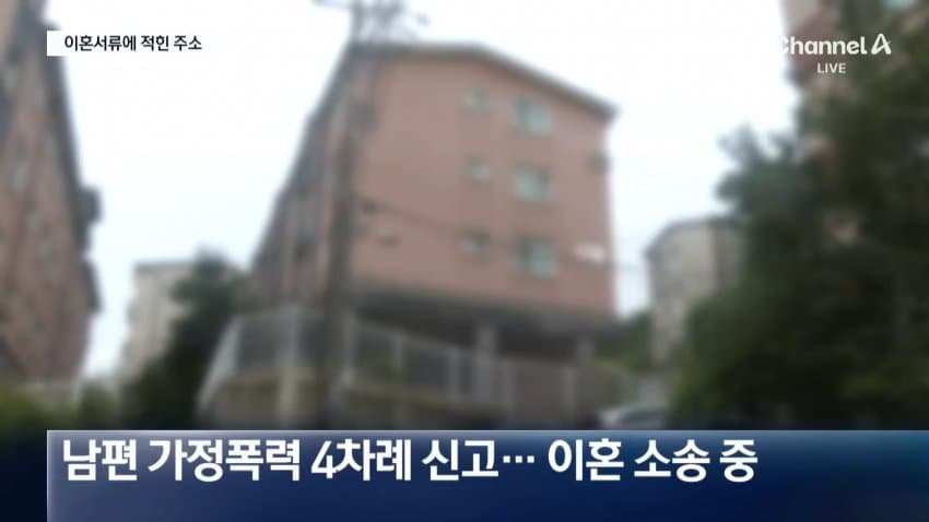 [속보] 가정폭력에 이혼 준비하던 아내 살해 전직 공무원 검거 (19)