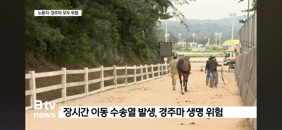 동물권 침해에도 침묵 중인 동물보호단체들._2.webp