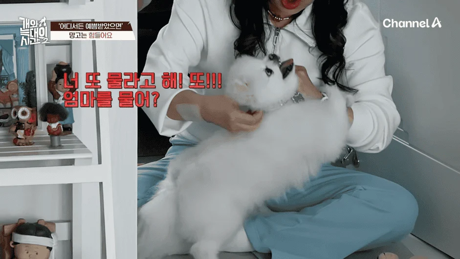[#개와늑대의시간2] _저 같아도 물 것 같._ 하루에 개를 462번 부르는 보호자!_😨🚨 (귀에 딱지 앉을 듯.)🤕🐕 _ 개와 늑대의 시간2 17회 3-2 screenshot.png