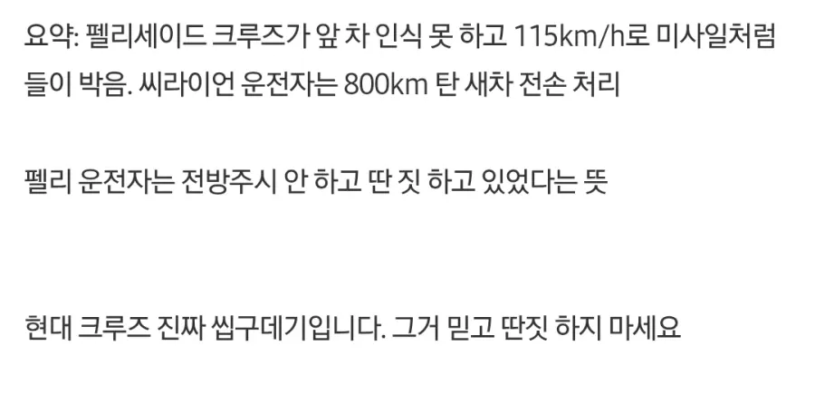 BYD 씨라이언 vs 현대 펠리세이드 크루즈 주행 추돌 사고 ㄷㄷㄷ (6)