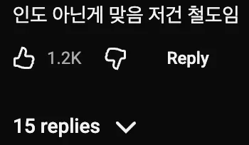🇮🇳 인도인이 한국인들한테 화난 이유 😡 (2)