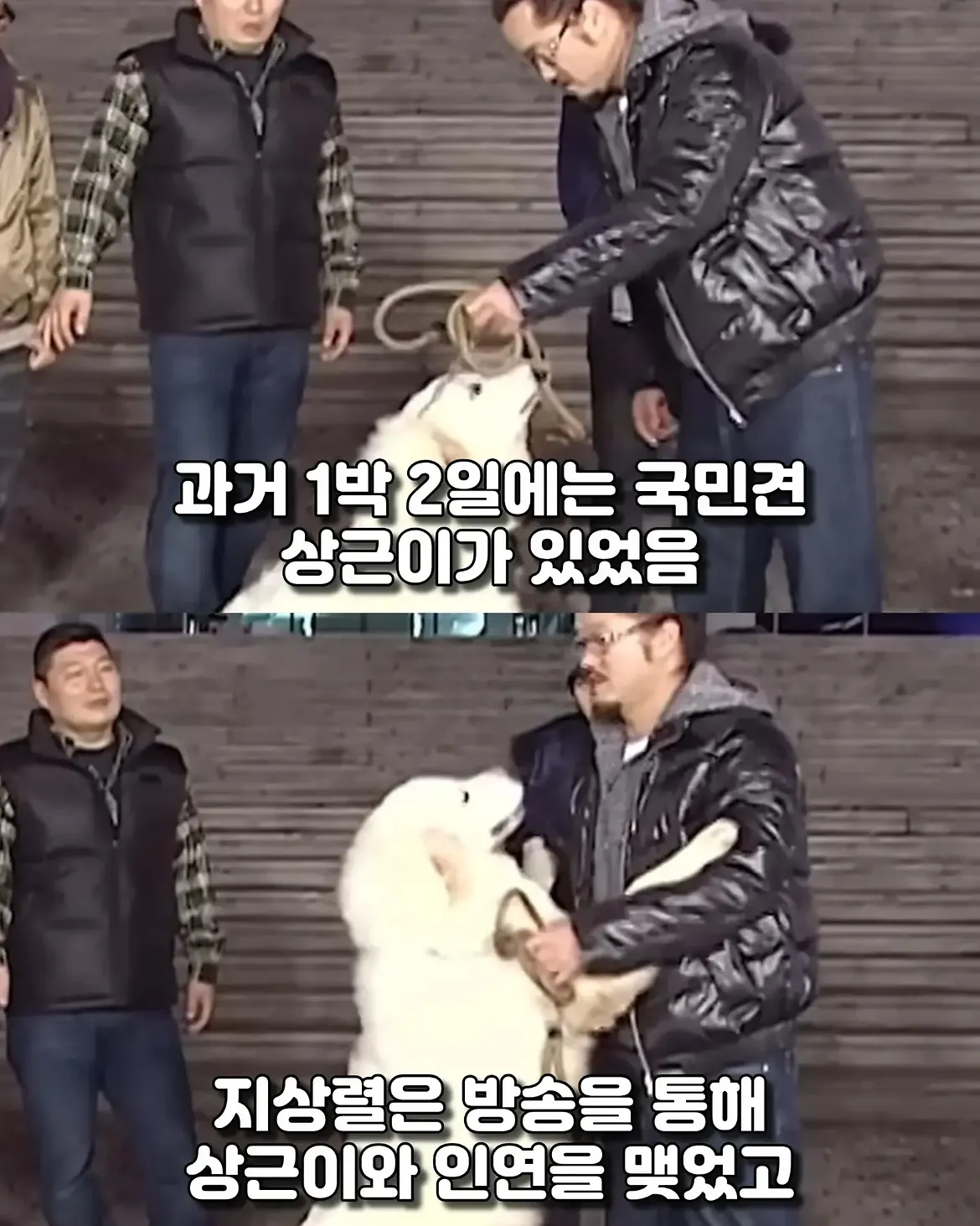 싱글벙글 17년동안 고마웠어요 힘겹게 버티던 댕댕이가 마지막까지 기다 (3)