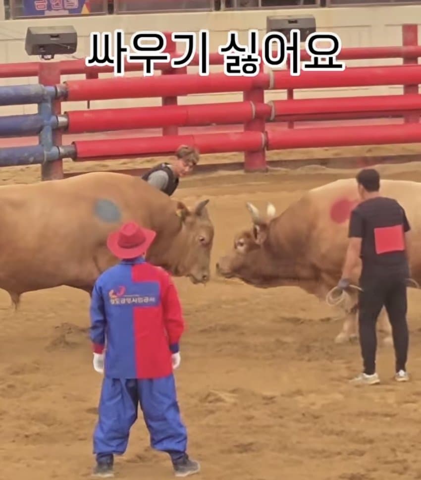 싱글벙글 의외로 동물 복지인거 (6)