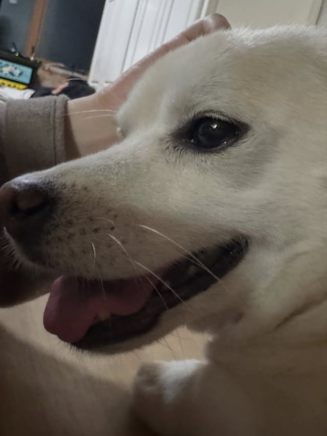 HUbiKm