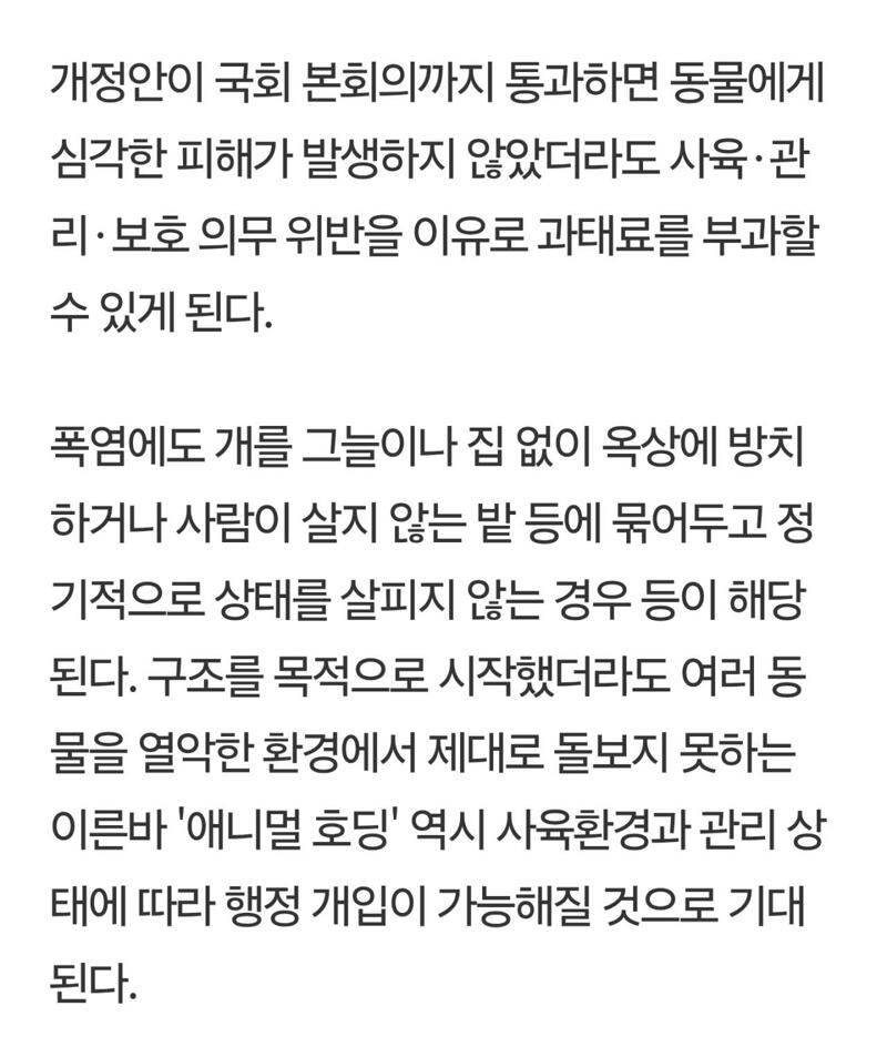 마당개 옴짝달싹 힘든 '1m 목줄' 묶어 방치땐 100만원 과태료 추진 (4)