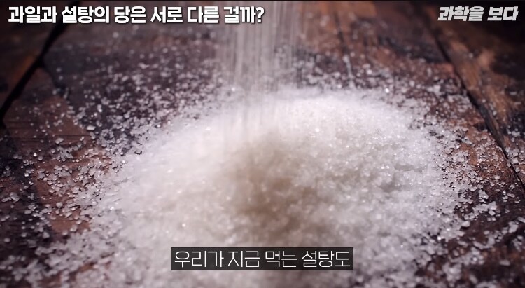 탄산음료 액상과당이 몸에 안좋은이유 (2)