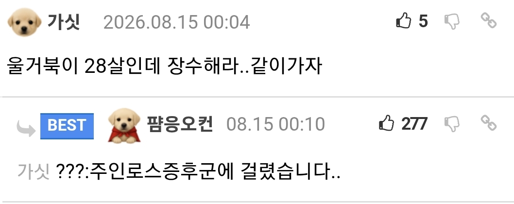 펫로스 증후군 (3)