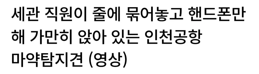 세관이 마운자로 잡다가 ㅁㅇ 놓친다는 말에 긁힌 이유