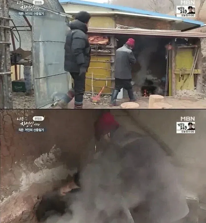 갑자기 고양이를 산채로 솥에 집어넣는 방송장면