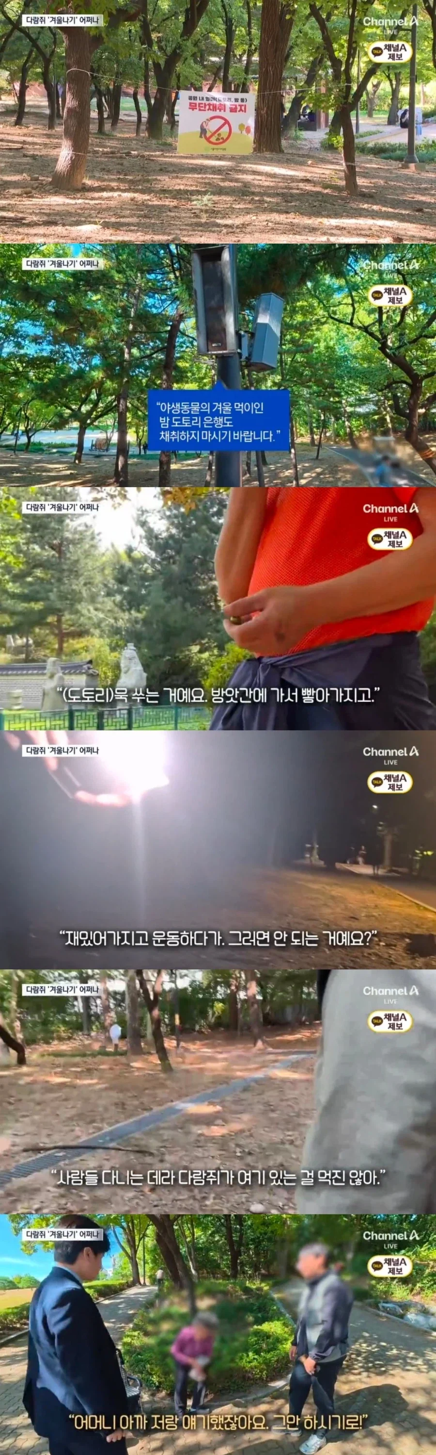 대공원 도토리 '싹쓸이' "묵 쑤려고" (2)