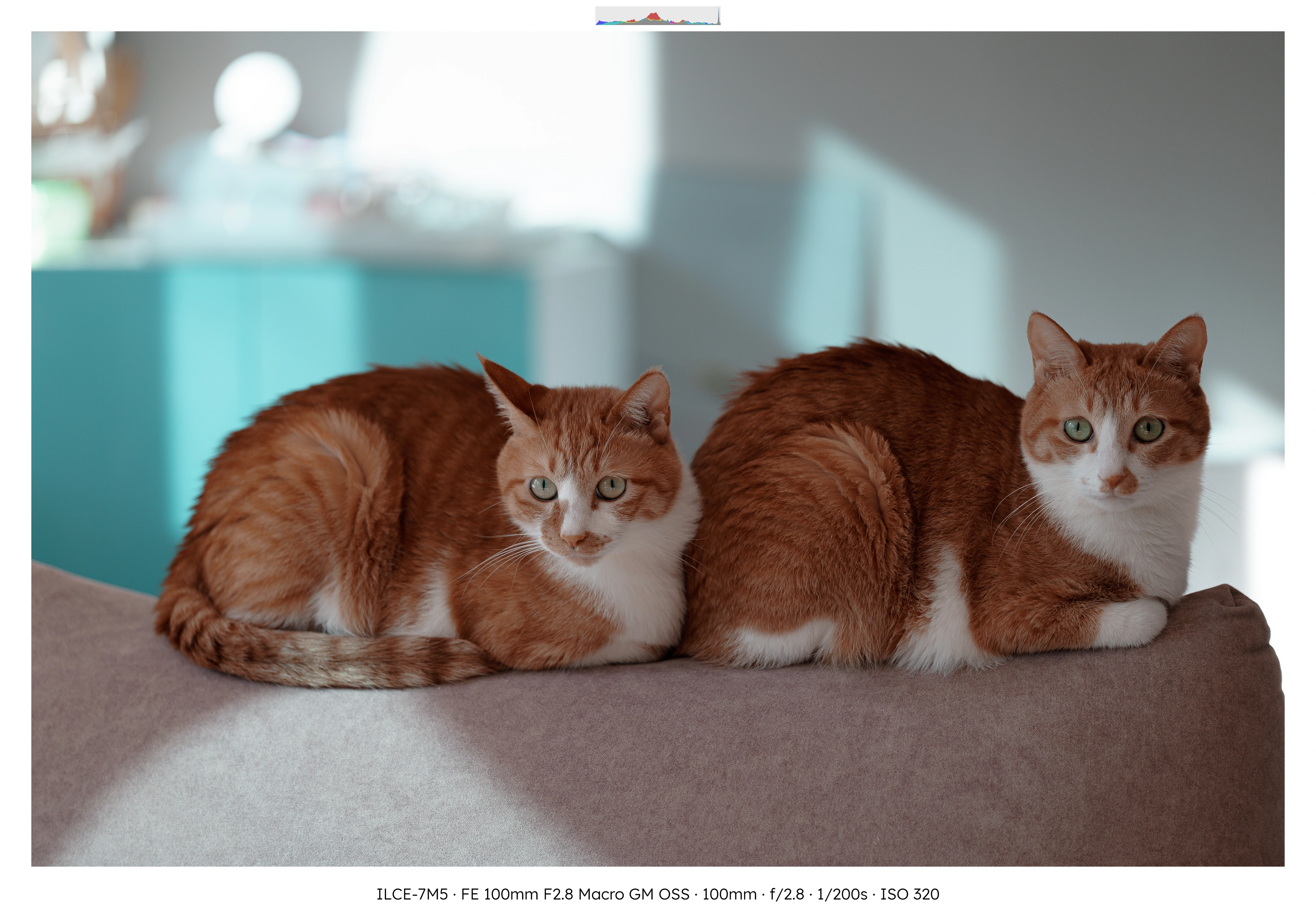 3분기 사진 정산 . webp (36)