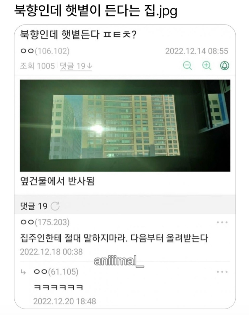 북향인데 햇볕이 든다는 집 (2)