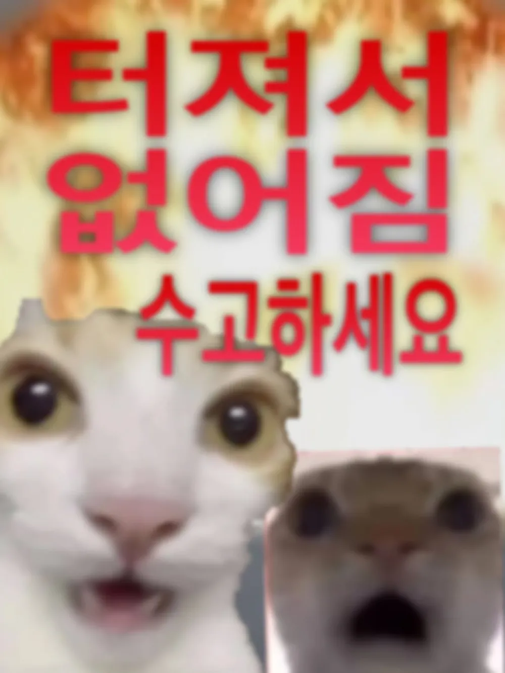 규모 20.0 지진이 일어나면 생기는 일 (13)