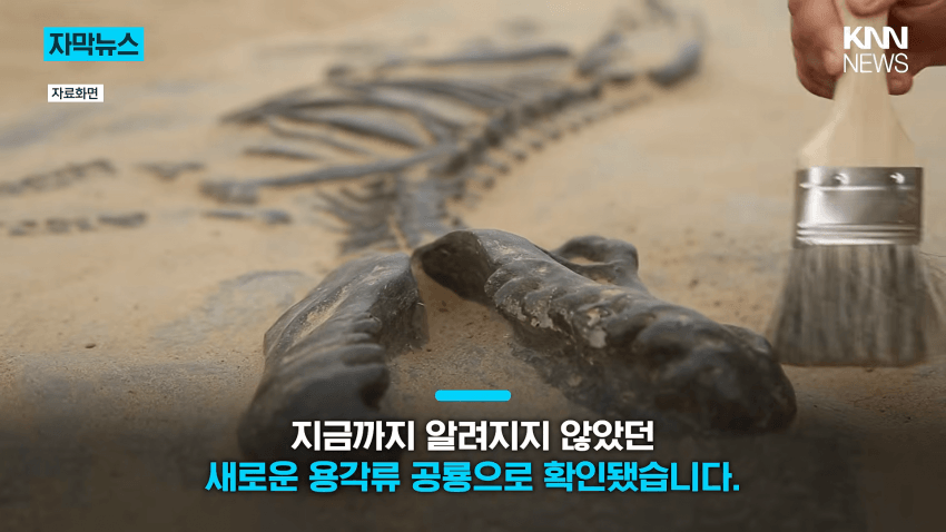 공사장에서 1억 년 전 초대형 공룡 발견 (6)