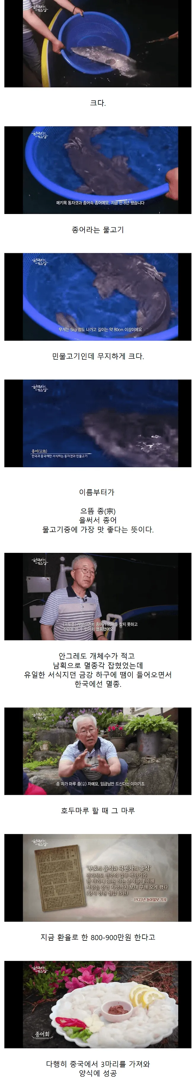 너무 맛있어서 한국에서 멸종한 물고기...jpg