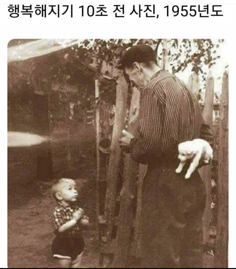행복해지기 10초 전 사진.png