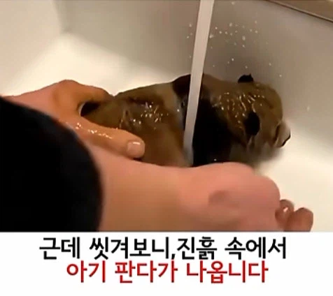 유튜브 쇼츠 AI 뇌절 대잔치 (4)