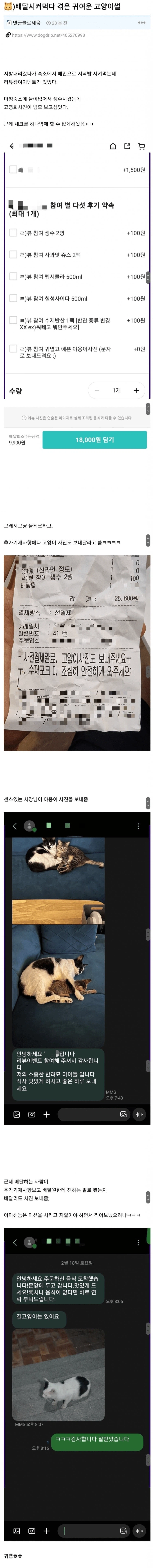 배달 시켰다가 겪은 귀여운 고양이썰