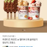 하겐다즈 파인트3통