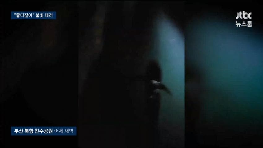 싱글벙글 부캉이 근황 (10)
