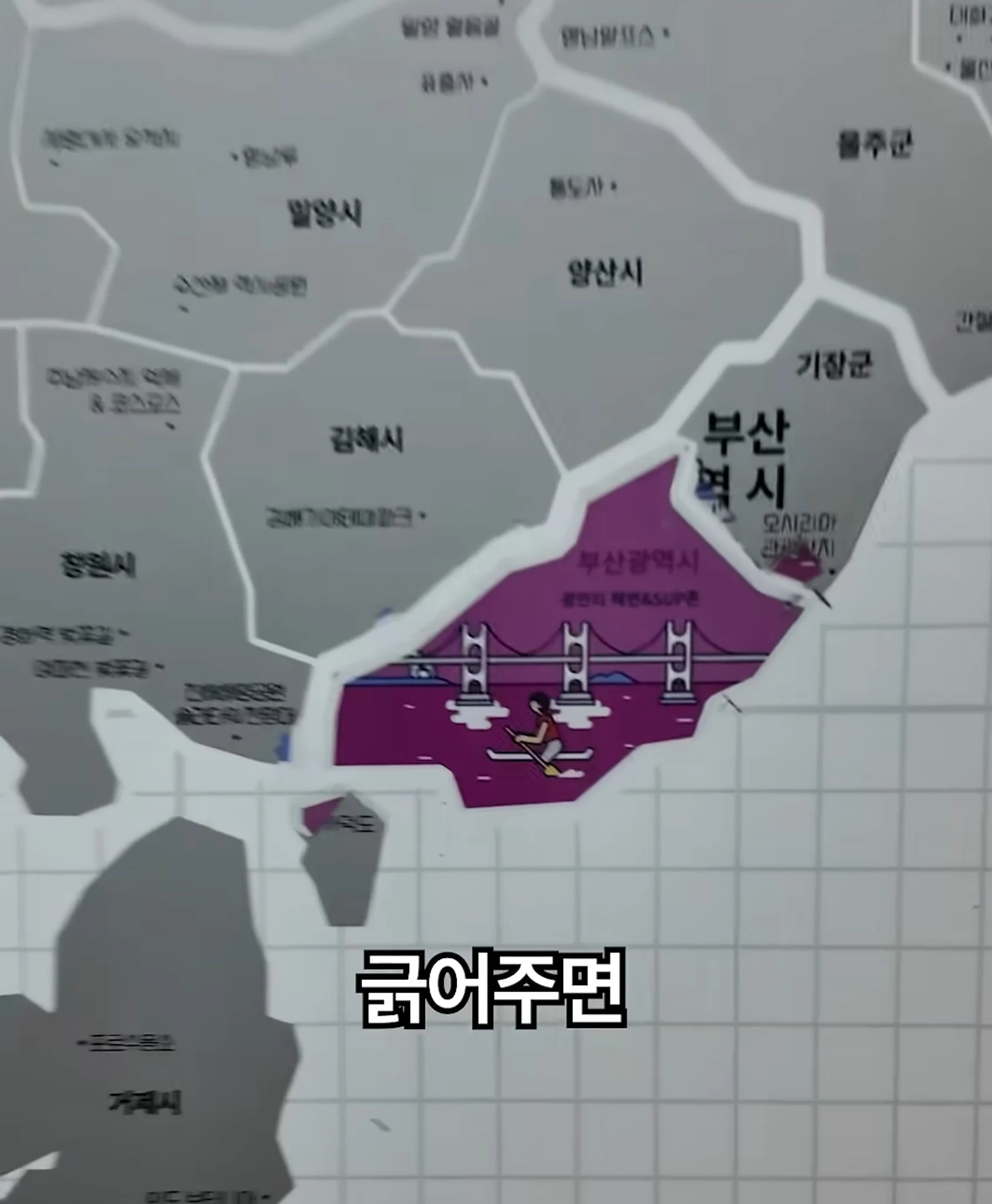 국내용 여권이라고? (4)