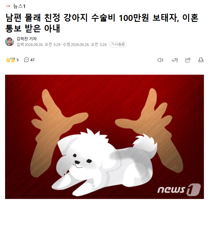 남편 몰래 친정 강아지 수술비 100만원 보태자, 이혼 통보 받은 아내