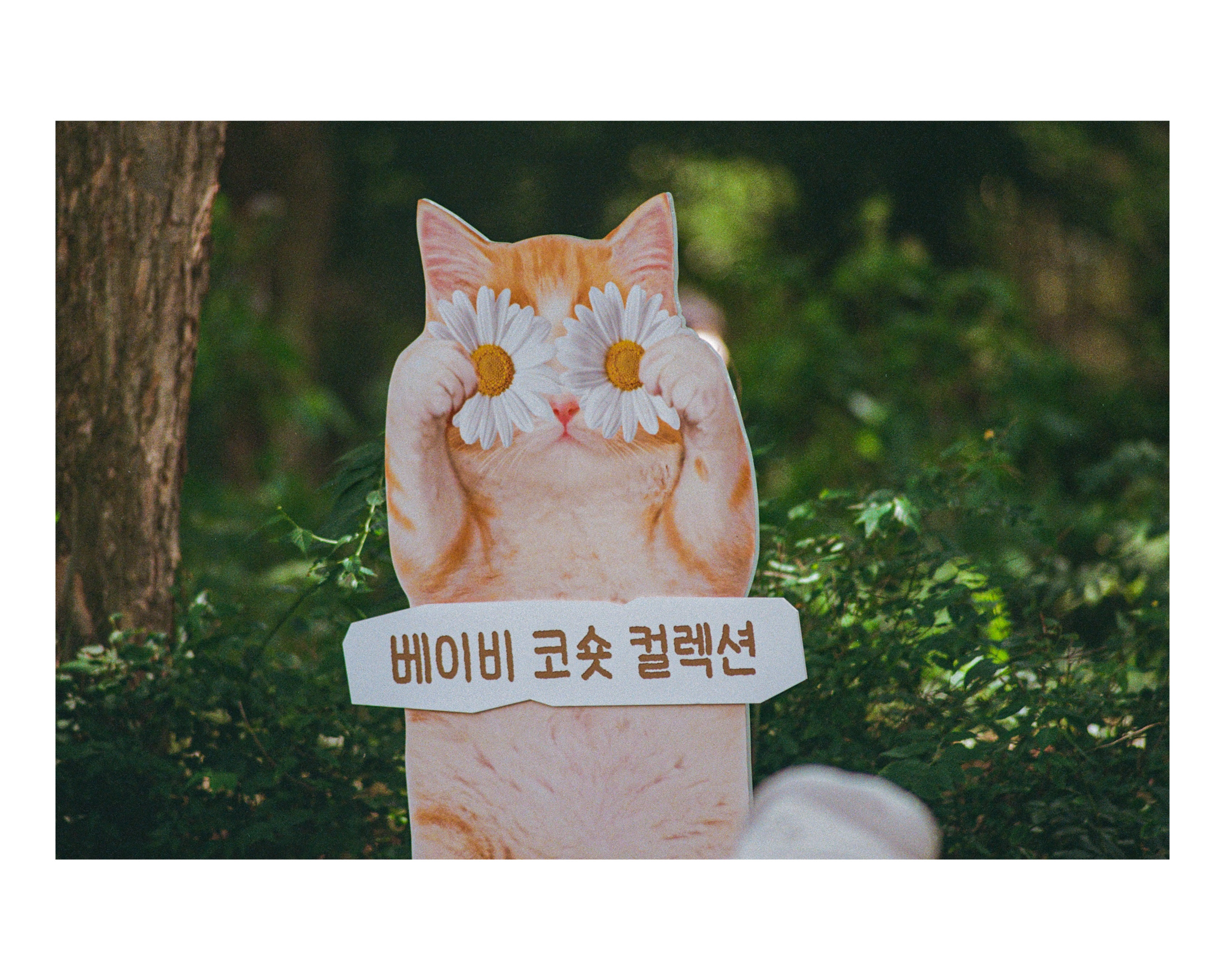 서울 국제 정원 박람회 (webp 38 pics) (20)